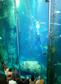 aquarium-of-the-pacific