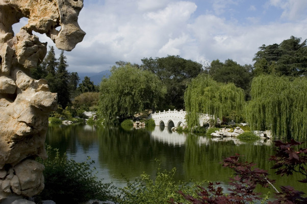 The Huntington - Chinese Garden
